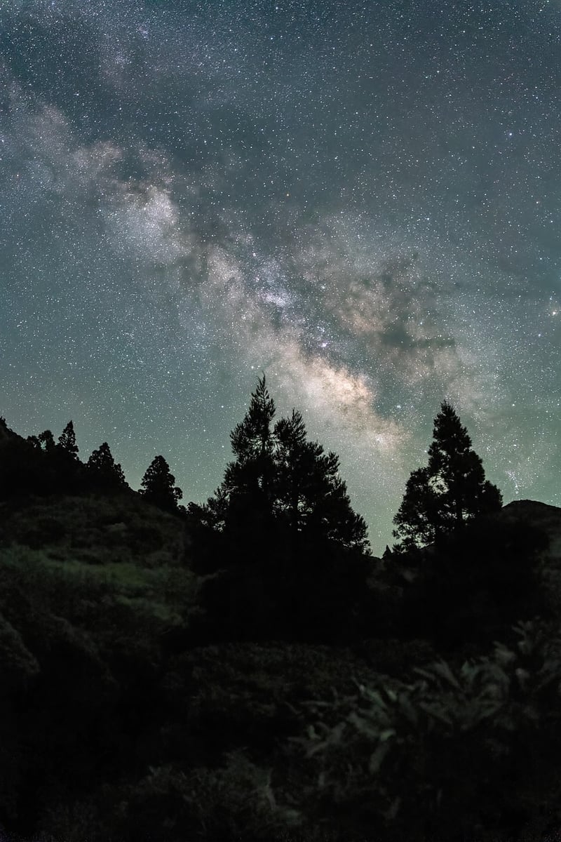 Movie Night Under the Stars